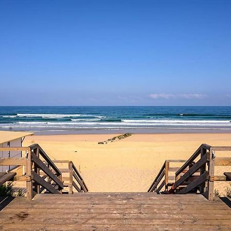 La Cabane Maddyblue 5 Min A Pieds De L'Ocean Et Commerce Mimizan-Plage Exteriér fotografie